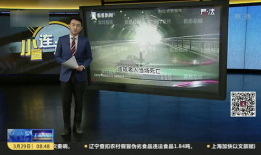 老人91岁开直播可以吗,诠释新时代银发力量